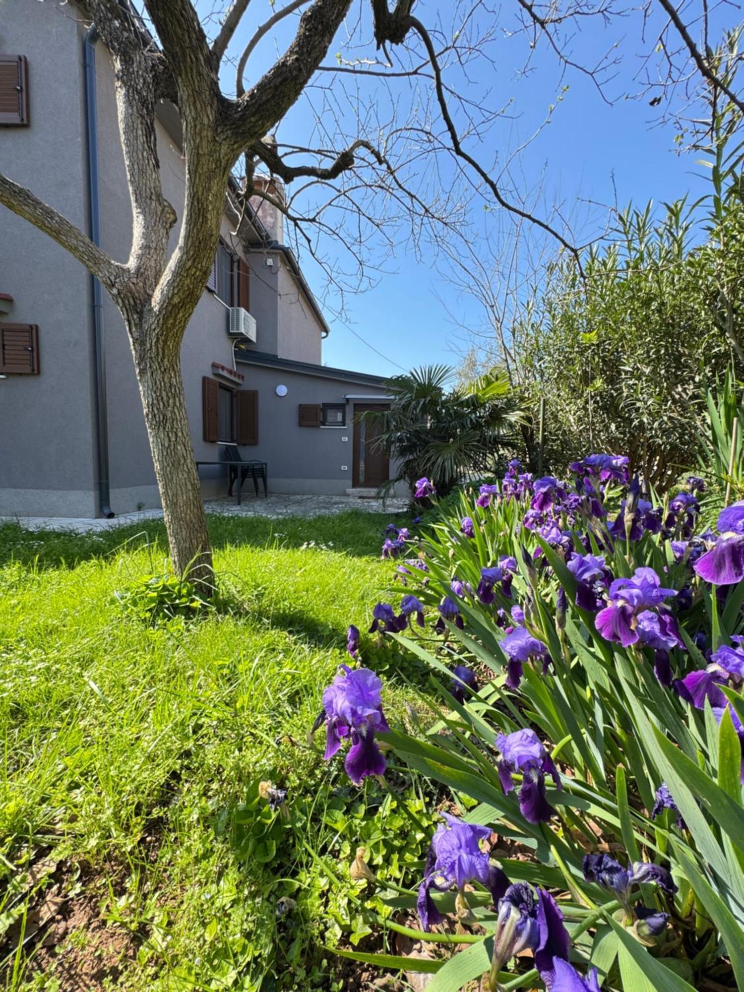 Flowers Apartments Medulin, Fucane 2 Exterior foto