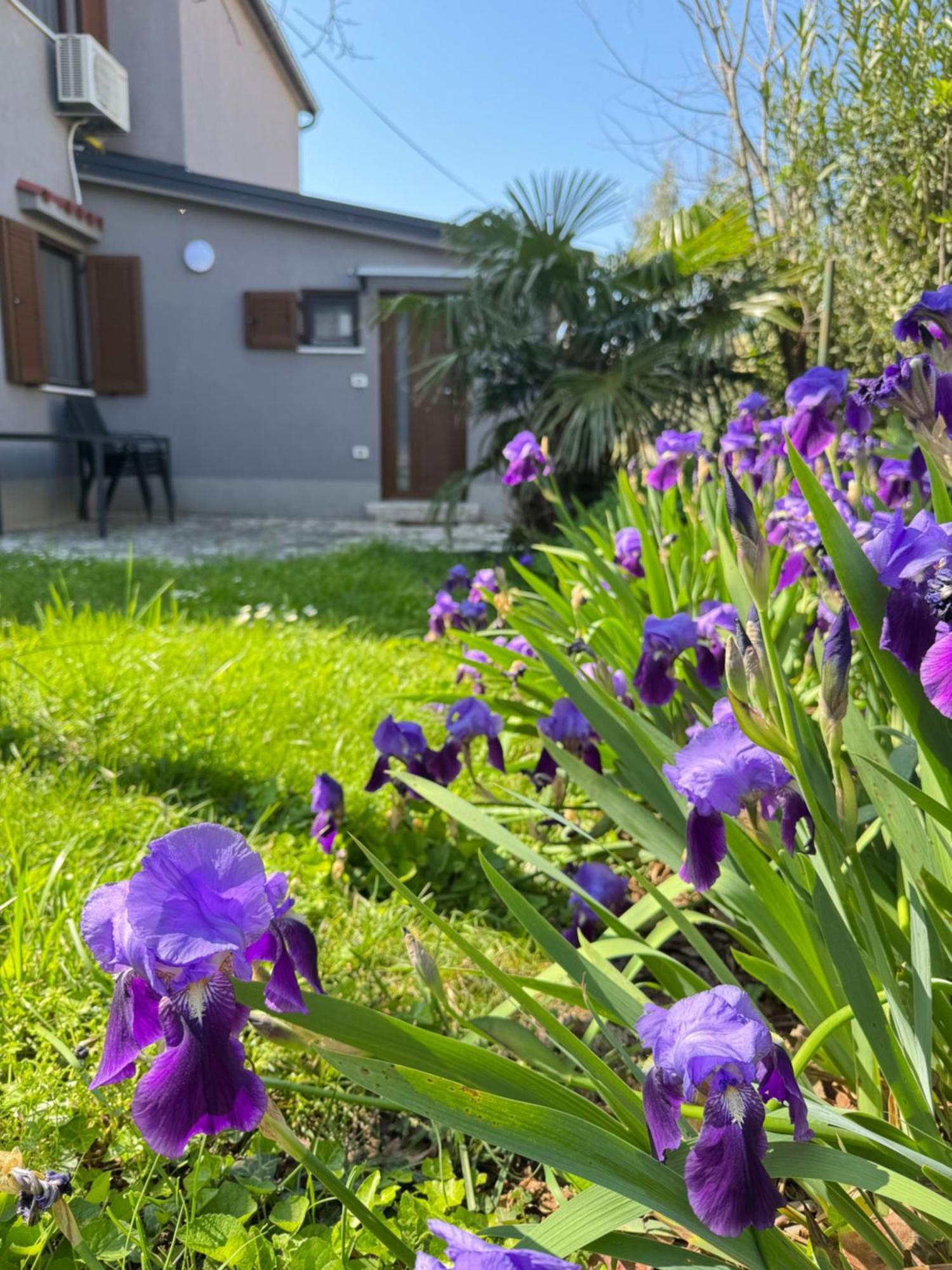 Flowers Apartments Medulin, Fucane 2 Exterior foto